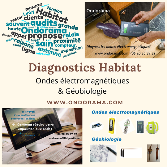 Ondorama diagnostics habitat et lieu de travail ondes électromagnétiques et géobiologie