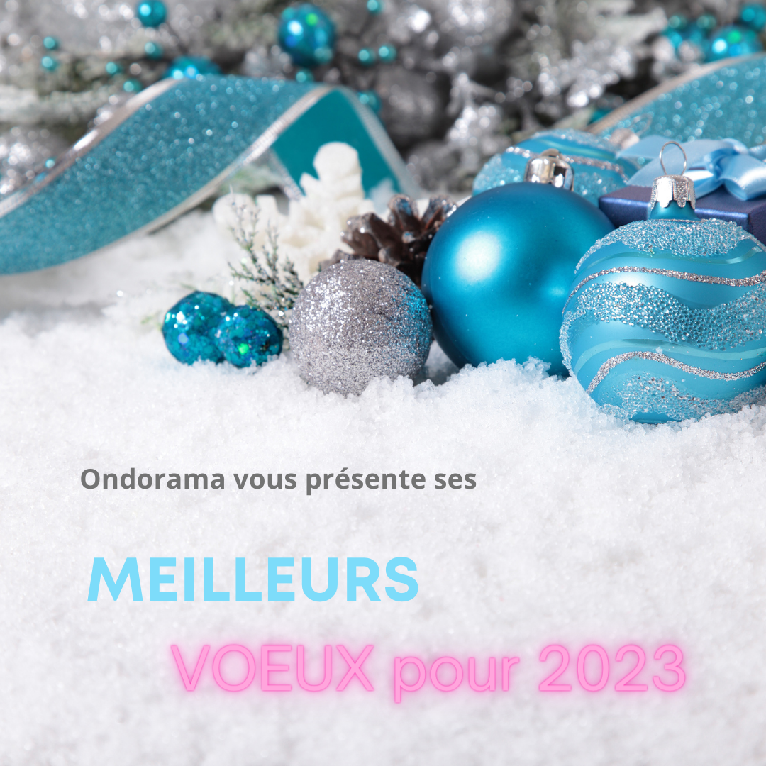 Meilleurs voeux pour l’année 2023