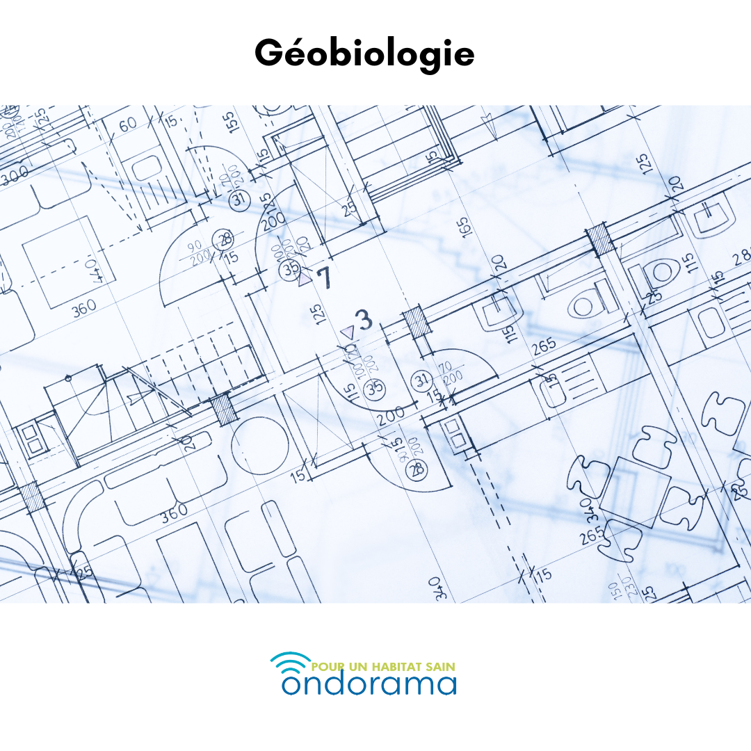 geobiologie-maison-ondorama (1) Ondorama Geobiologie anomalies dans maison